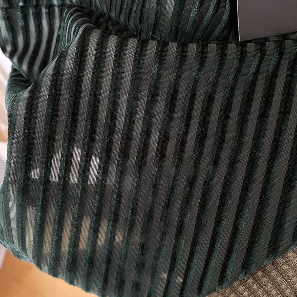 F21 Green Velvet Stripe Bodysuit - Picture 6 of 8